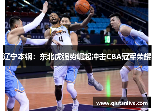 辽宁本钢：东北虎强势崛起冲击CBA冠军荣耀