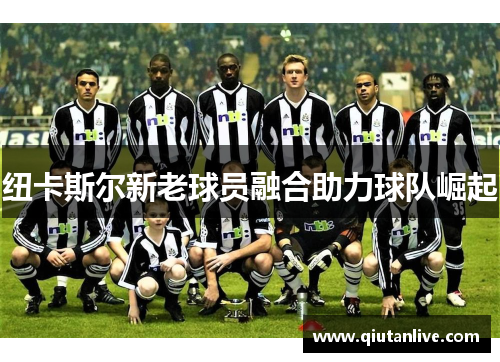 纽卡斯尔新老球员融合助力球队崛起